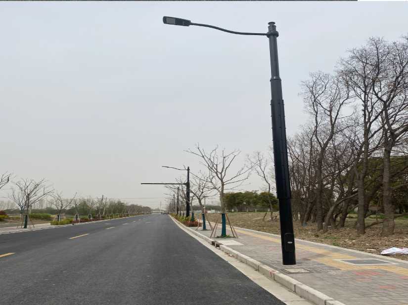 耒阳市上海综合杆 太阳能路灯工程