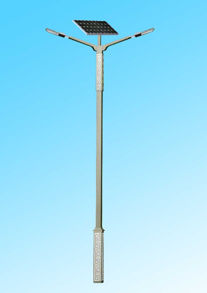 耒阳市市政道路太阳能路灯