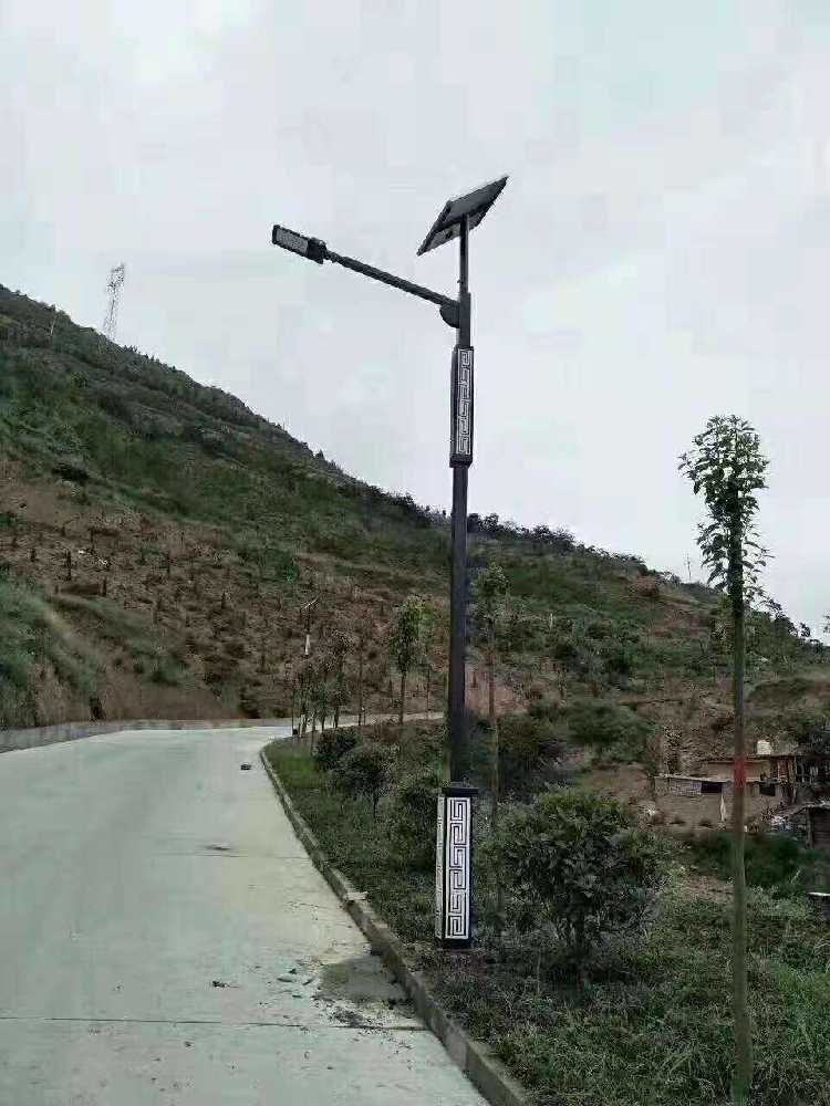 耒阳市仿古太阳能路灯